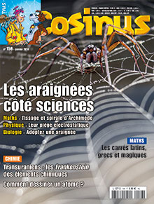 Les araignées côté sciences